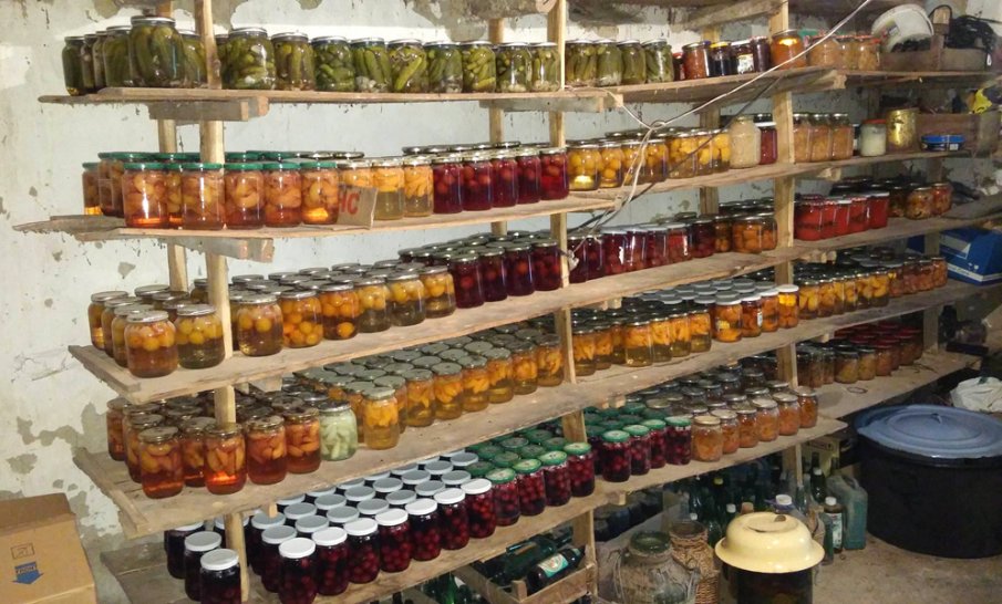 Мъж завари крадец на зимнина в дома си във Врачанско