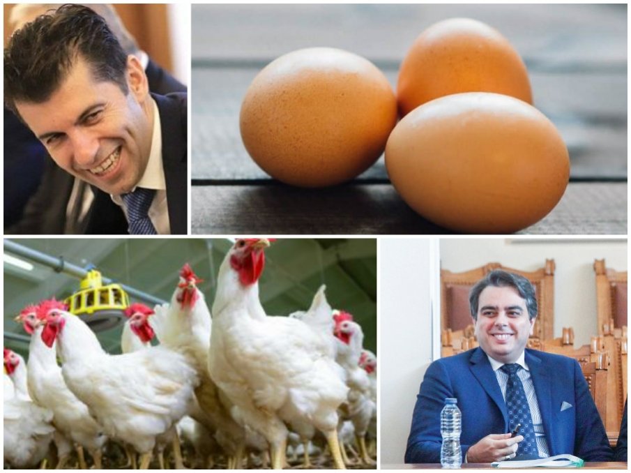 КИРО И АСЕН НИ ЗАКОПАХА: От есента става лукс да си купим яйца и пилешко, цените скачат с 30%