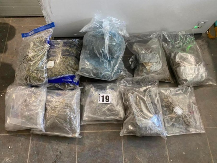 След спецакция: Разкриха високотехнологична наркооранжерия във Варненско (СНИМКА)