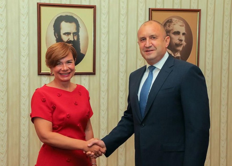 Радев се надява на новите турски терминали за справяне с газовата криза