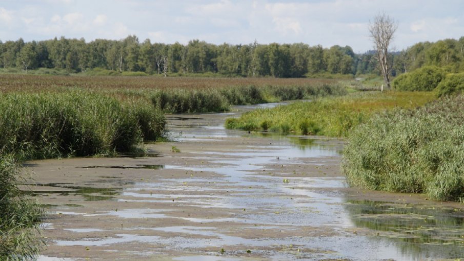 Обстановката в община Троян се успокои след проливния дъжд