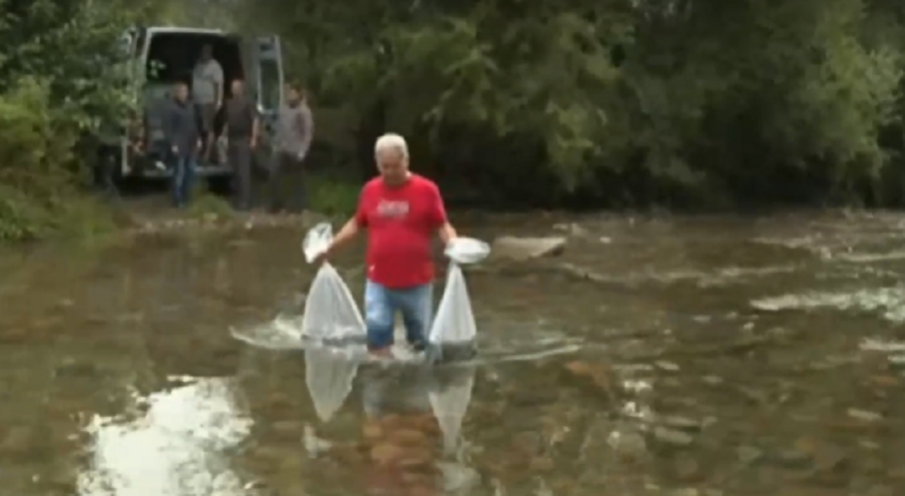 Зарибяват река Искрецка след кризата в Своге