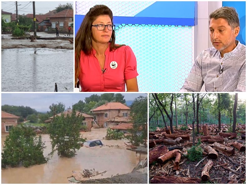 ЕКСПЕРТИ: Не само дъждът е виновен. Винаги, когато има сеч, това допринася за влошаване на ситуацията