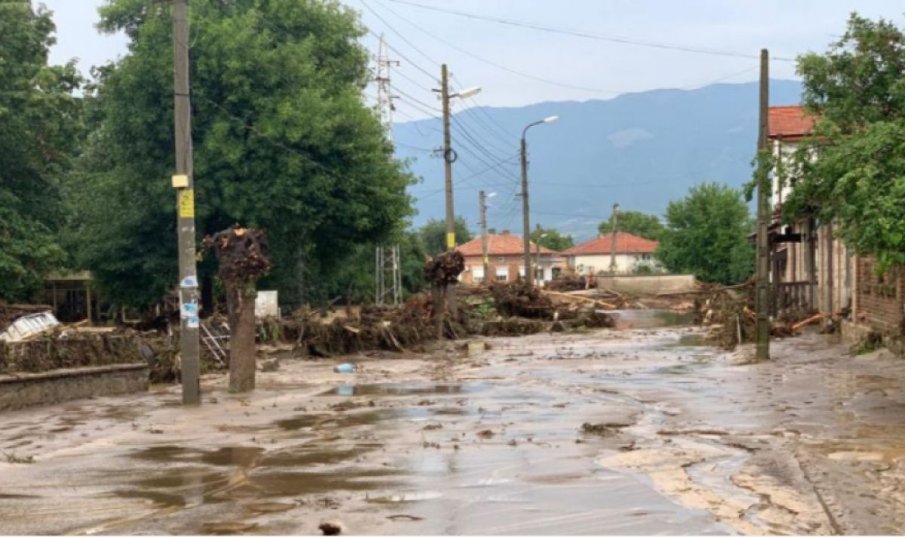 Демерджиев се включва в проверките за незаконна сеч в Карловско
