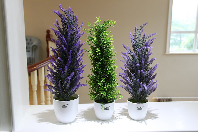 Ако имате тези аромати в дома си, ще привлечете пари