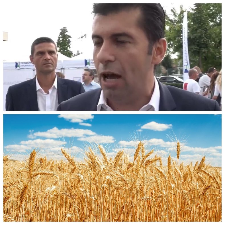 Направиха тайна проба от украинската пшеница, която Кирил Петков подсигури - вижте резултата (СНИМКА) Направиха тайна проба от украинската пшеница, която Кирил Петков подсигури - вижте резултата (СНИМКА)