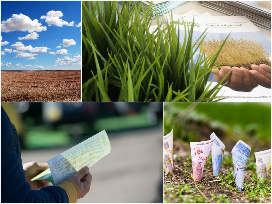 Продавайте земя сега, по-късно цената може да падне