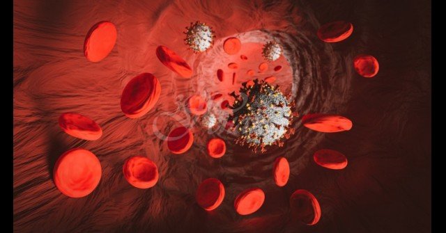 Предразположени сте към тромбози? Яжте това веднъж седмично