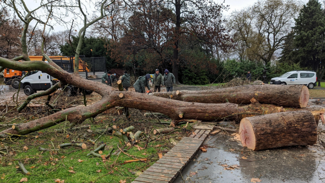 ОТ ПОСЛЕДНИТЕ МИНУТИ: Паднали дървета почти затвориха пътя Пловдив-Смолян