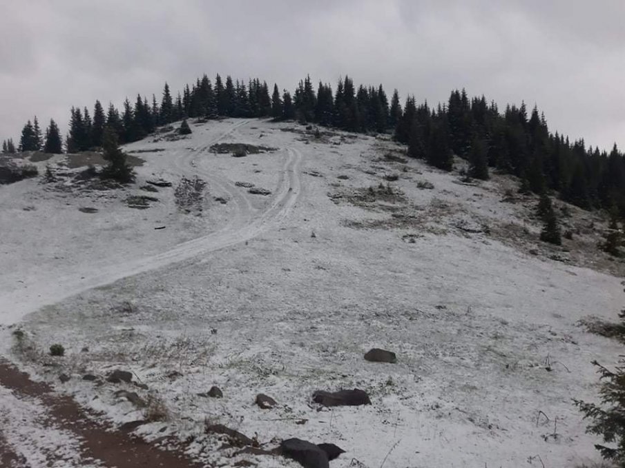Сняг заваля в района на хижа „Перелик“ в Родопите