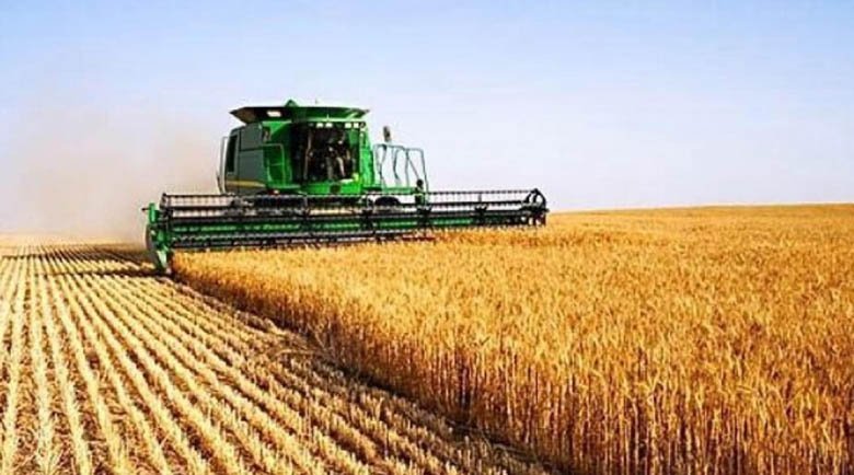 Зърнопроизводители готвят блокади на границата заради вноса на украинско зърно