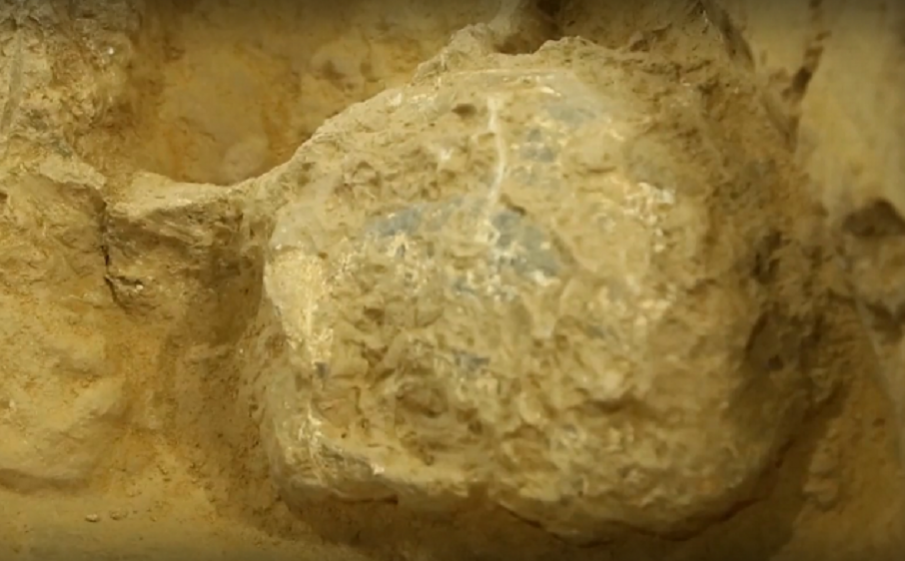 СЕНЗАЦИЯ: Археолози откриха фосилизиран череп на Хомо еректус на 1 млн. години (ВИДЕО)