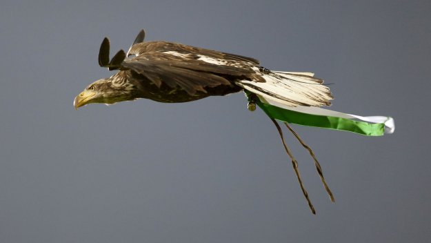 УЕФА излъчва филм за орела на Лудогорец 