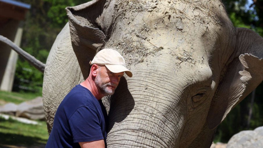 На 67 години почина най-старият слон в Германия