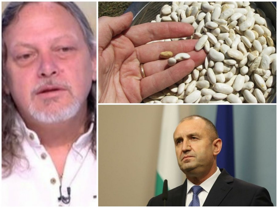 ПАРАНОРМАЛНО: Нидал Алгафари хвърли боб кой е фаворитът на Радев за третия мандат