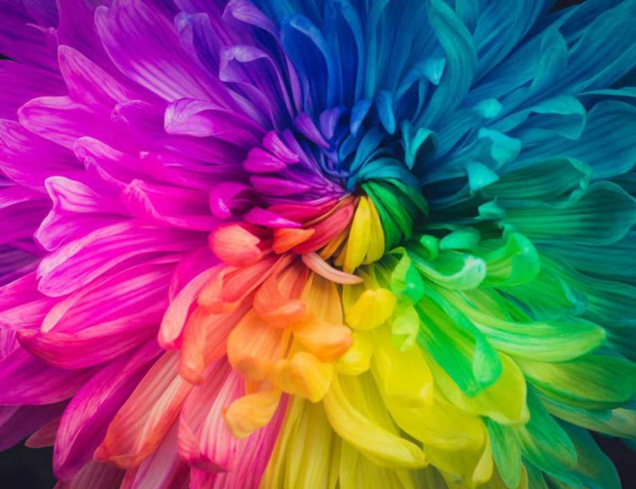 Разберете кои са топлите цветове и как ни въздействат?