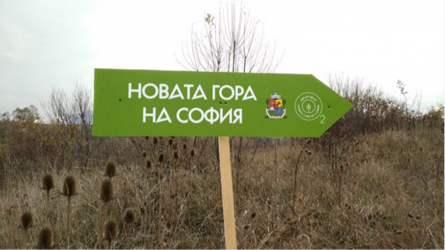 Нова гора засаждат край Негован до София