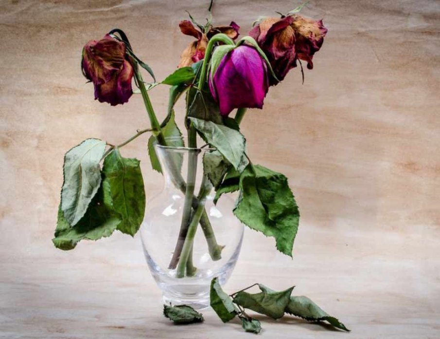 Тези неща в дома ви са истински магнит за бедност - веднага се отървете от тях!