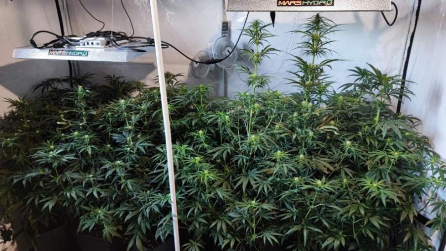 Задържаха мъж за разпространение на наркотици във Великотърновско