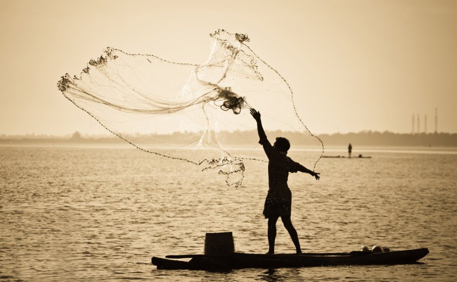 Изгубените в моретата и океаните риболовни корди могат да обвият Земята 18 пъти