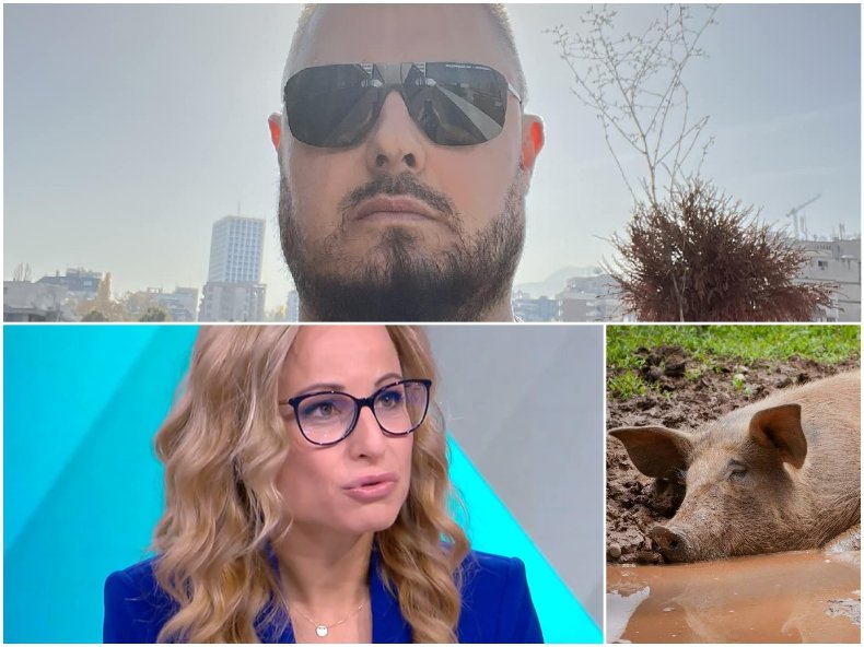 Бареков: Нивото на тинята в телевизиите е толкова ниско, че и блатска свиня да се потопи в нея - зурлата й ще стърчи два метра отгоре