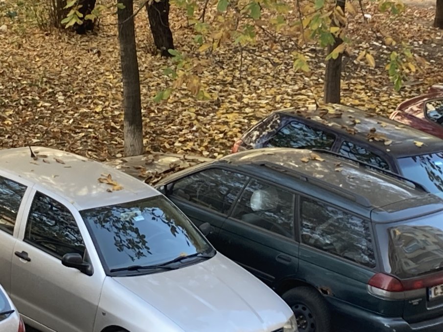 С този трик ще махнете падналите листа от колата за секунди