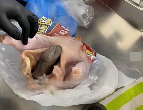 Откриха пистолет, скрит в сурово пиле на летище във Флорида