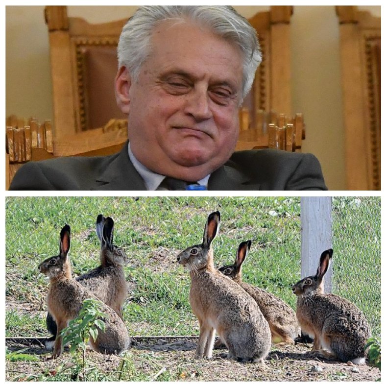 За политическата амнезия на Бойко Рашков и зайците на границата (ВИДЕО)