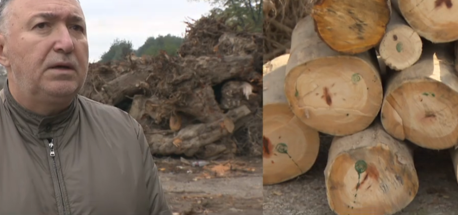 Кметът на Карлово: Решението да се плащат безплатните дърва е взето на общоселско събрание в Богдан