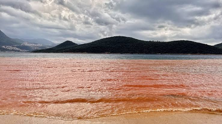 БЕДСТВИЕ: Наводнения в Анталия, морето стана кафяво (СНИМКА)