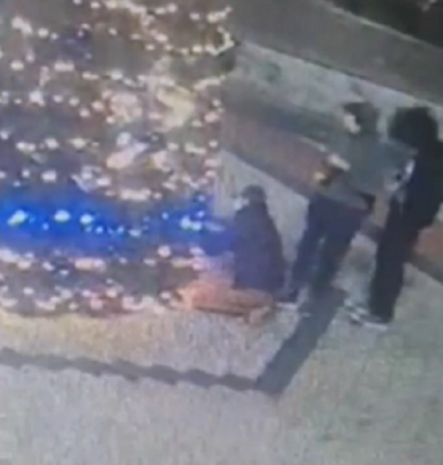 Вандали клъцнаха лампичките на коледната елха в Пловдив