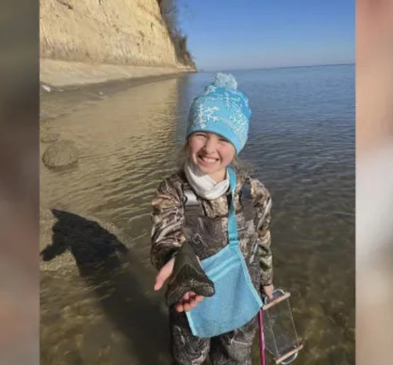 ИЗУМИТЕЛНА НАХОДКА: Дете на 9 години намери зъб на 20-метрова акула