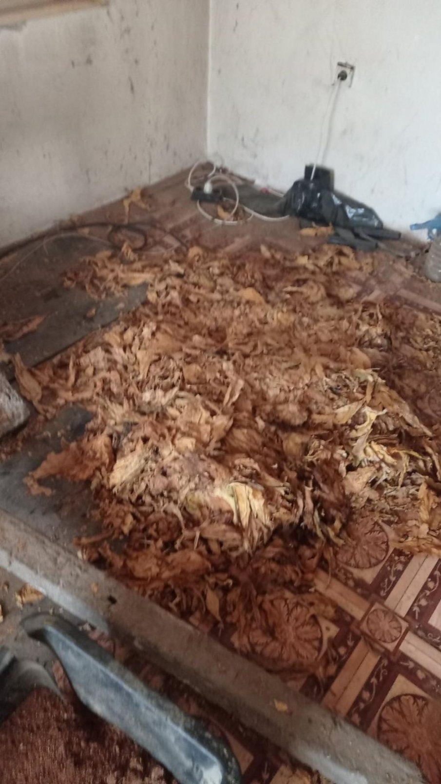 Разбиха нелегална фабрика за тютюн в Плевен