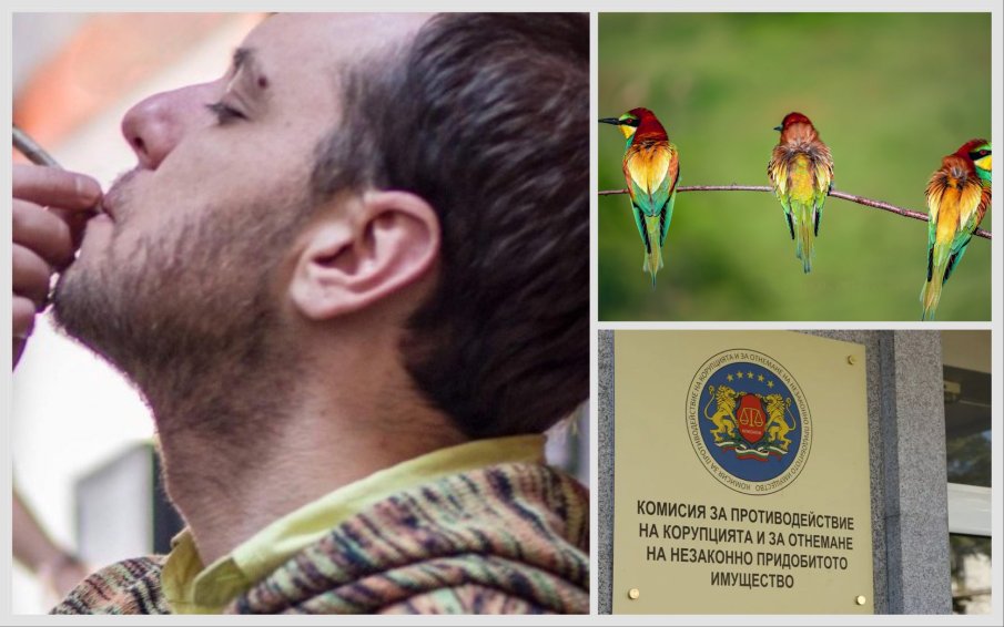 НОВА АФЕРА: КПКОНПИ проверява ексминистъра Сандов за 1,2 млн. лева за броене на птици