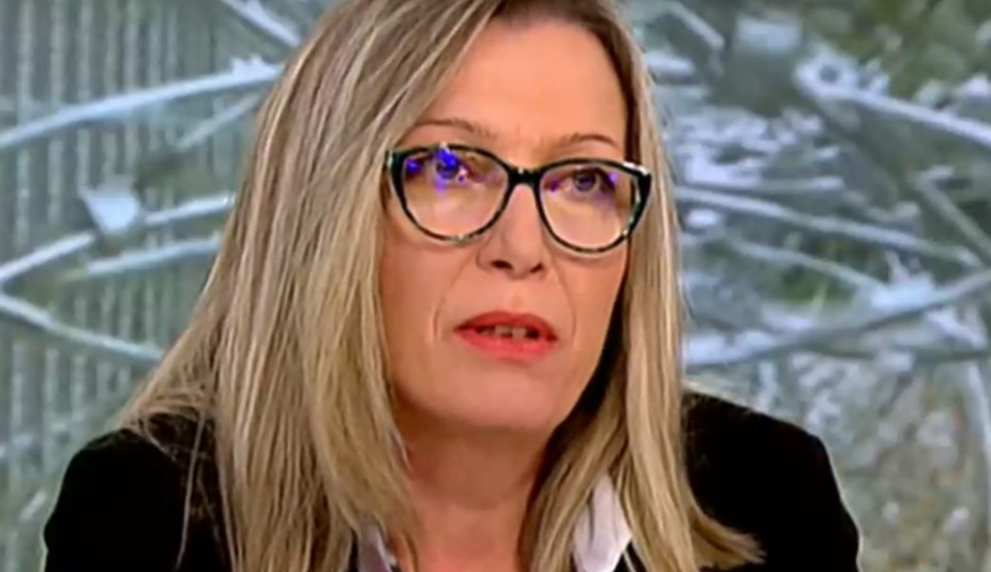 Гл. комисар Росица Димитрова: В топ 3 на влизащите у нас мигранти са тези от Афганистан, Сирия и Ирак