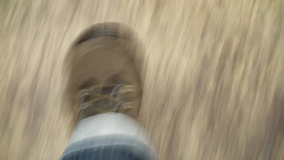 Как да разпознаем болестта на новото време