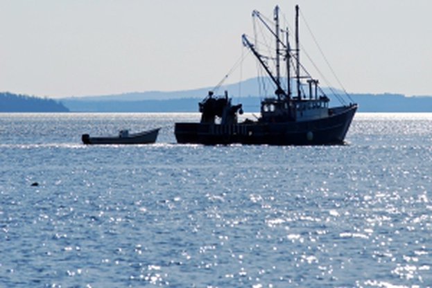 Тече разследване по случая със задържаните български риболовни кораби в Румъния