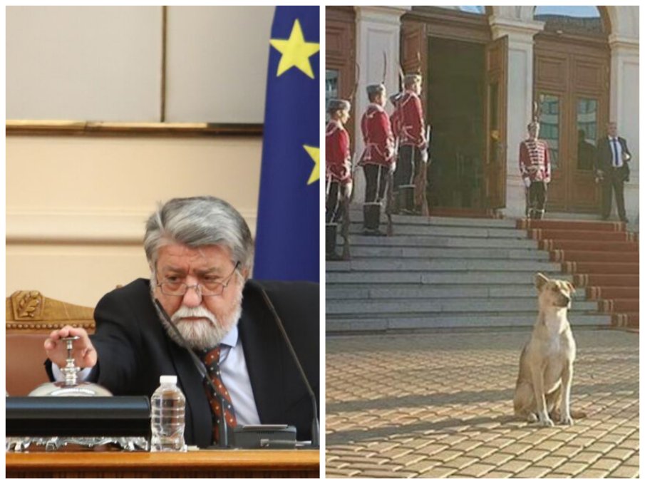 Жалкият край на единствения войнолюбив парламент в историята на България - дори кучето заряза депутатите на изпроводяк