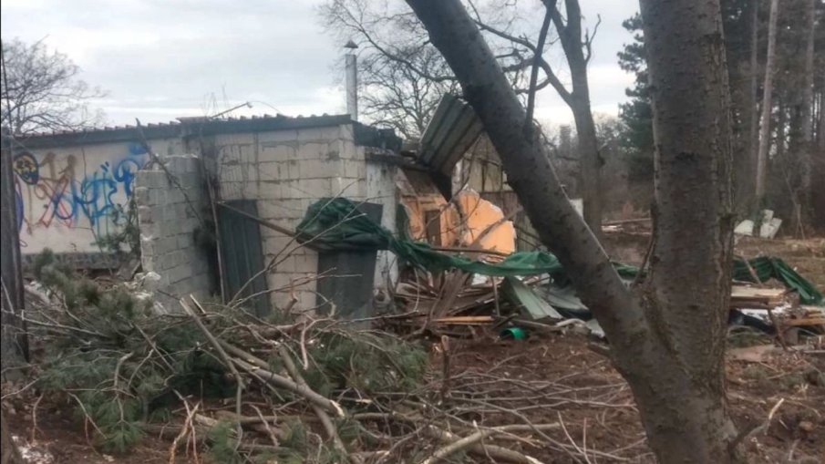 100 000 лева е глобата за незаконната сеч в Борисовата градина