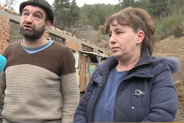 Умишлен пожар изпепели кравеферма в Якоруда: Живи изгоряха десетки животни - бременни, раждащи в момента, малки теленца