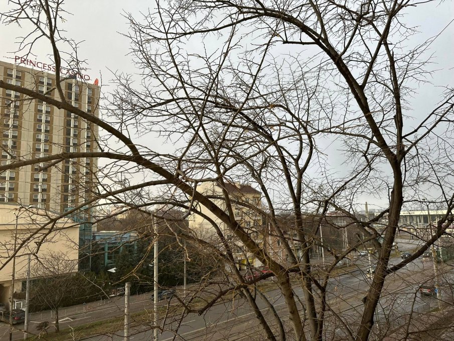 БЕДСТВИЕ: Четири квартала в София засегнати от снощните дъждове