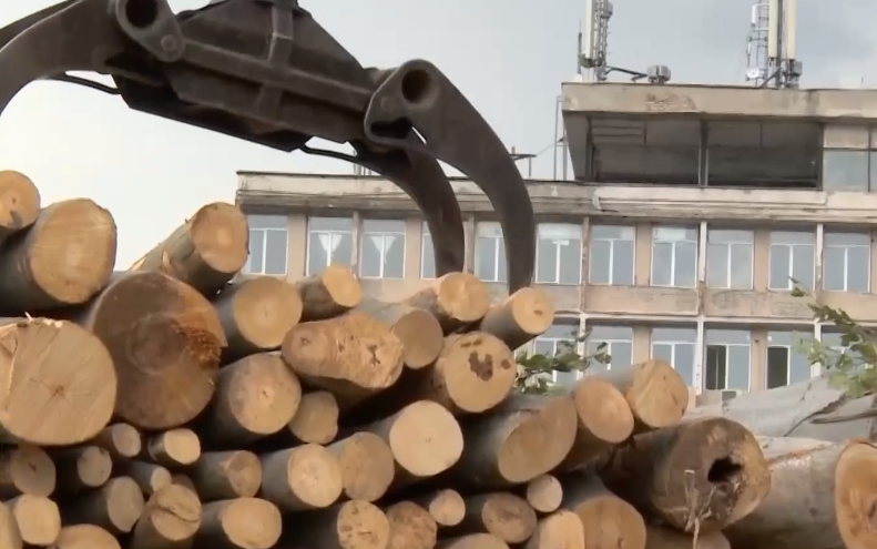 Опит за нападение над горски служители в Дупница: Разказ от първо лице