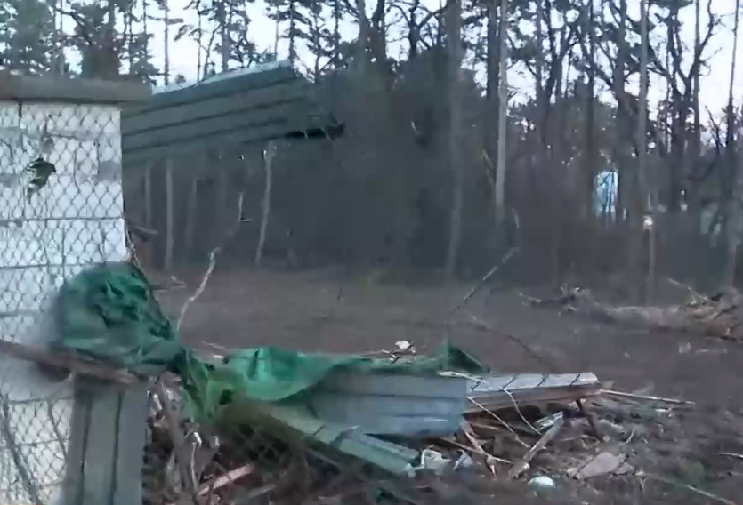 Проверяват незаконната сеч в Борисовата градина в София