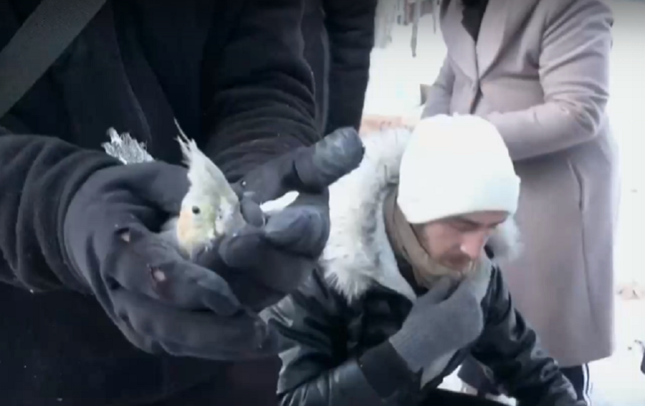 Спасиха папагал, прекарал над 50 часа под руините в Турция