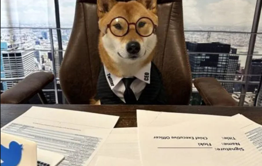 Мъск назначи куче за шеф на „Туитър“