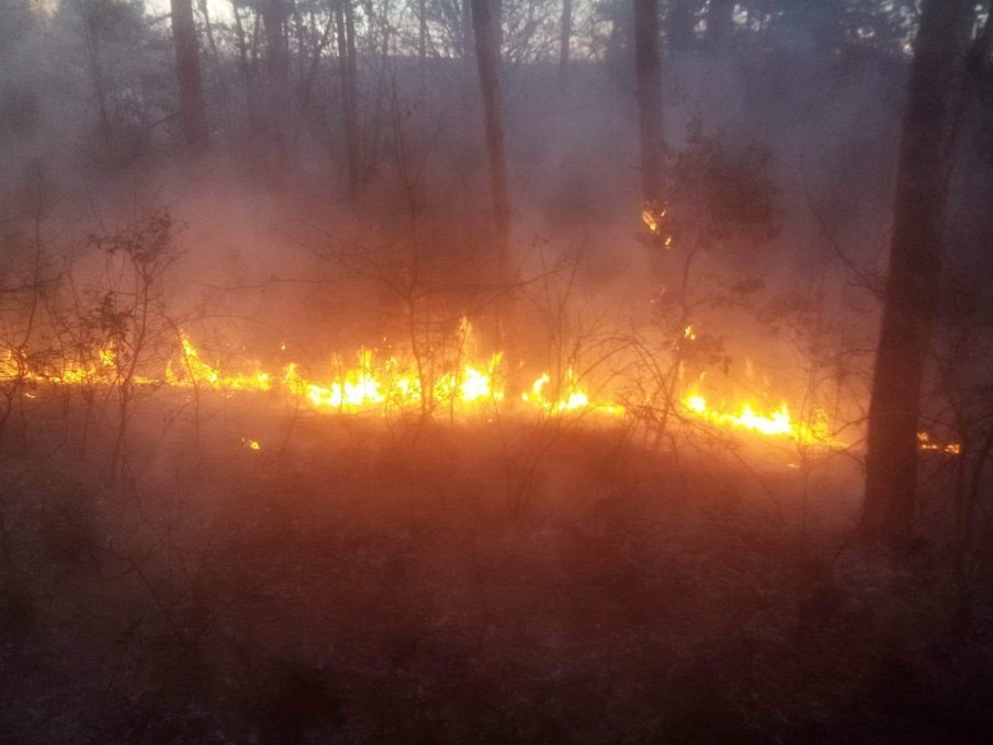 Пет екипа пожарникари се борят с бушуващ огън в Пловдивско (СНИМКИ)