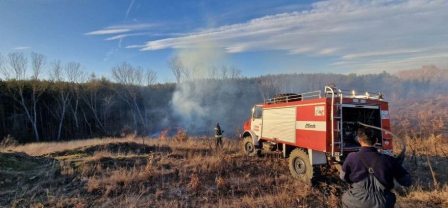 Пожар избухна в гора край Варна заради запалени гуми (СНИМКА)