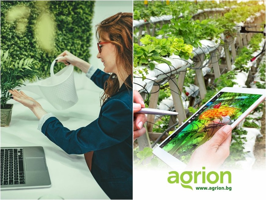 Продаваме нивите вече и онлайн