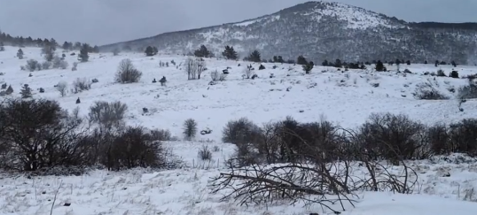 Затворени пътища в Хърватия заради сняг и вятър