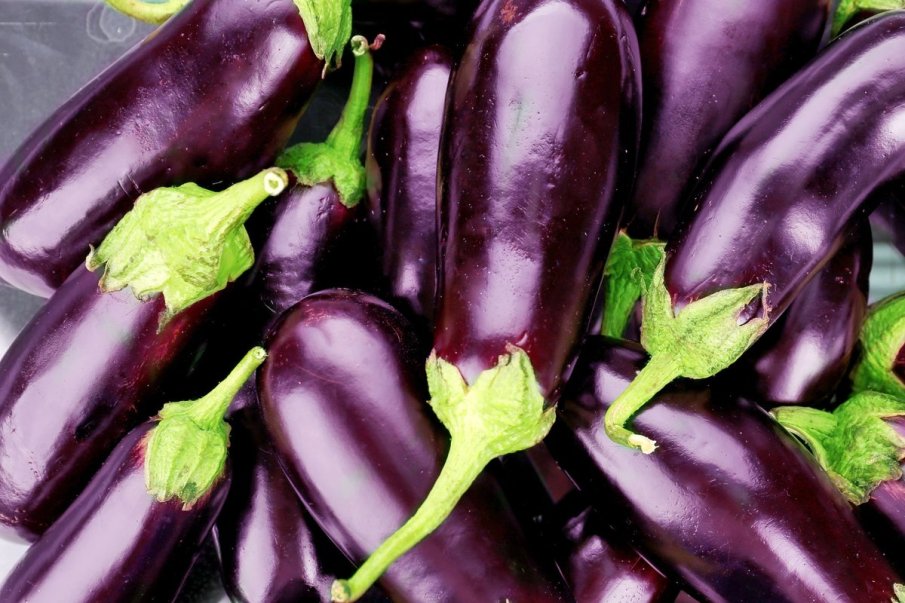 Защо патладжанът изчезна от пазарите в страната